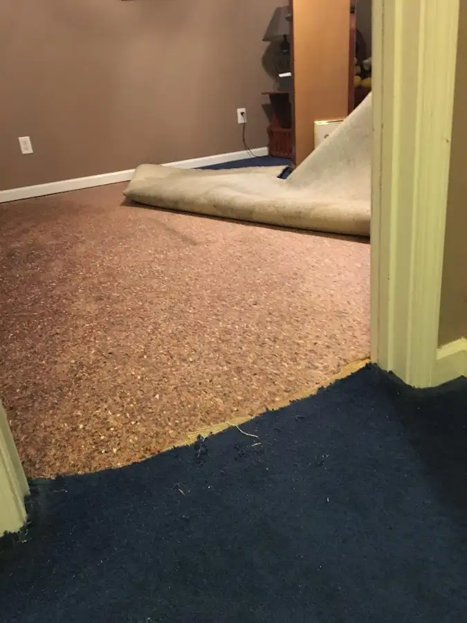 Carpet pad removal revealing water damage during Water Mitigation Services in Berwick