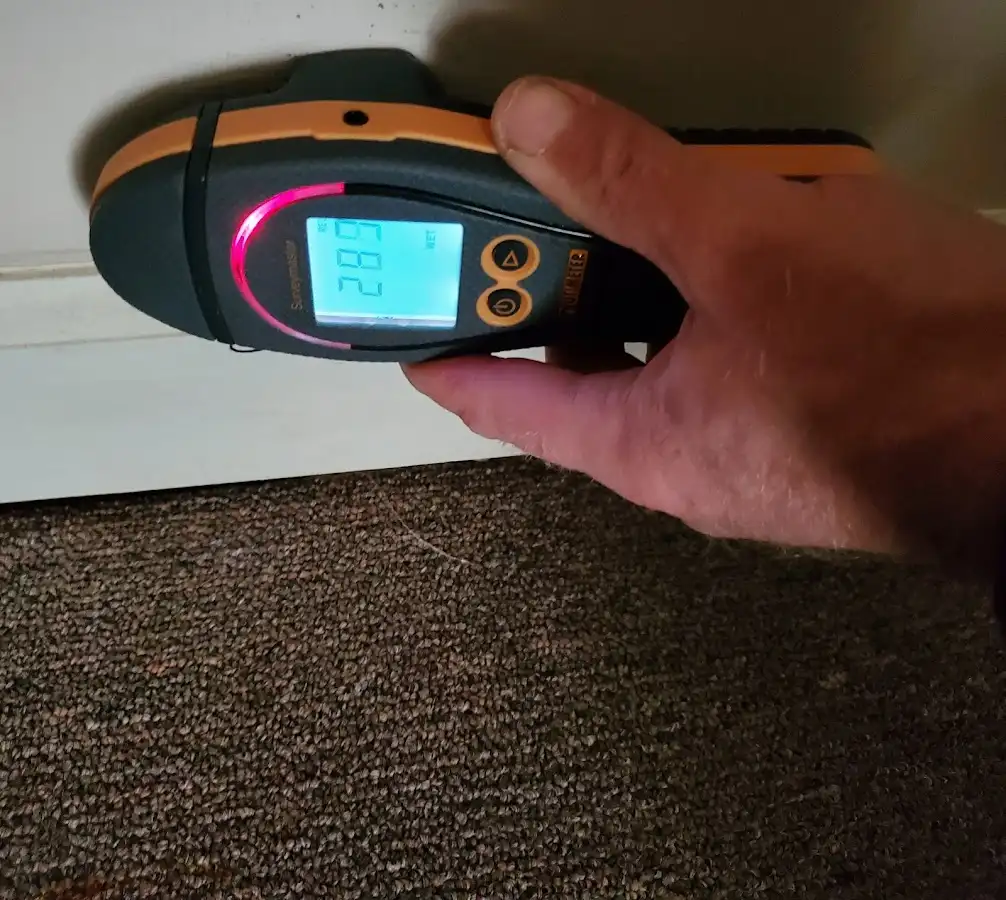 Moisture detection at baseboard during Mold Inspection & Testing in Berwick